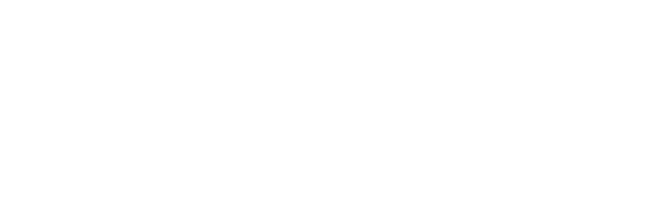 light logo